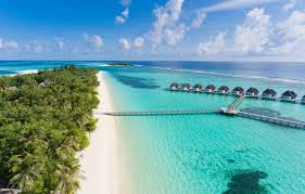 Image result for maldives